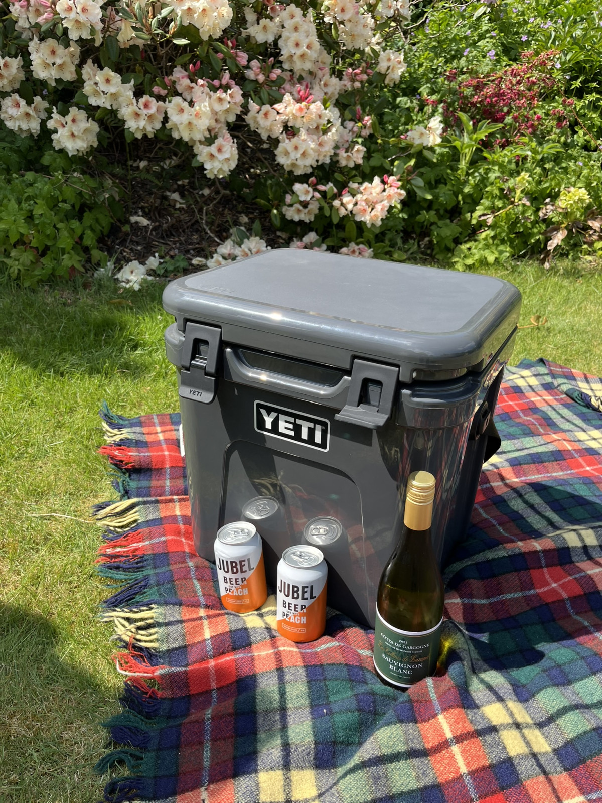 Our Summer Auction is coming soon! This Yeti Roadie 24 cool box could be yours!